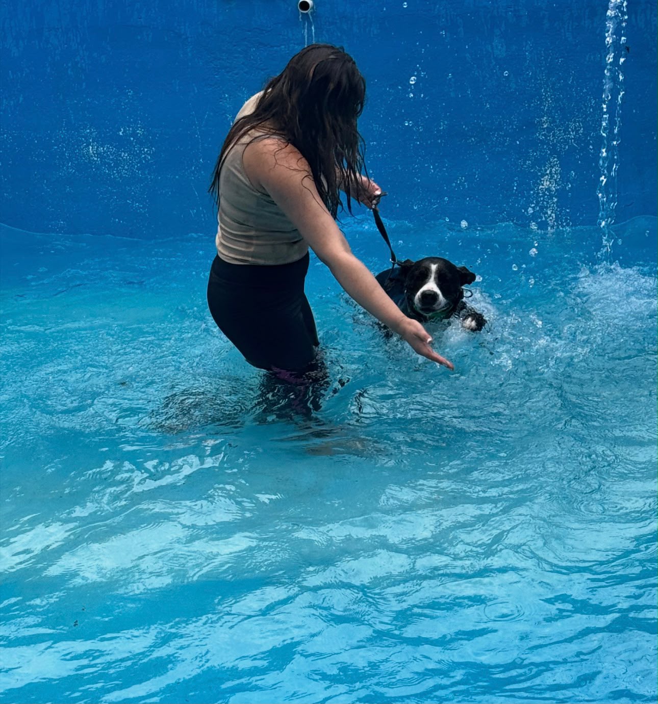 Clases de natación