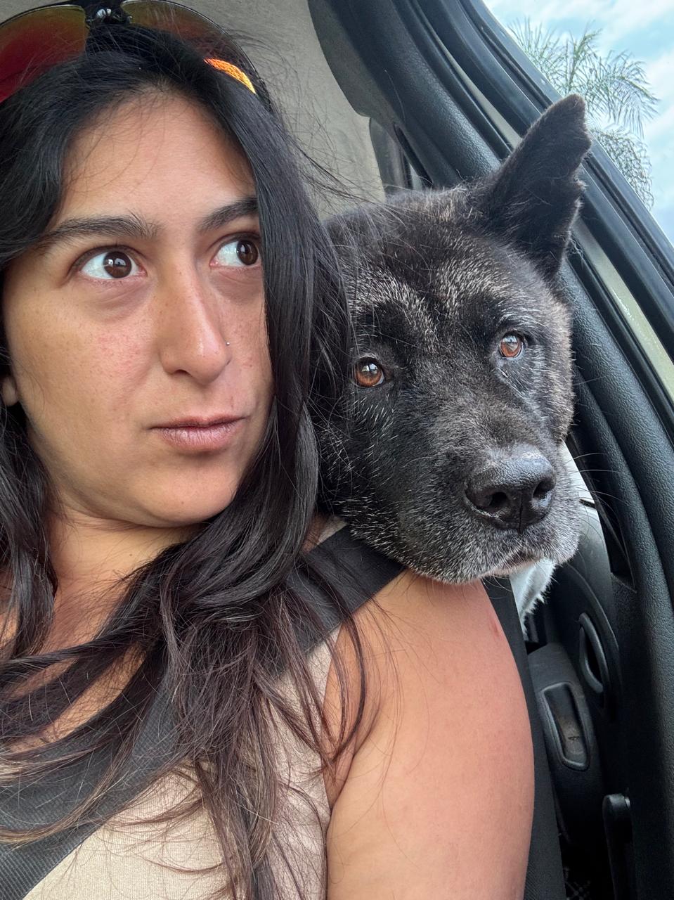 Perro conectando con una persona