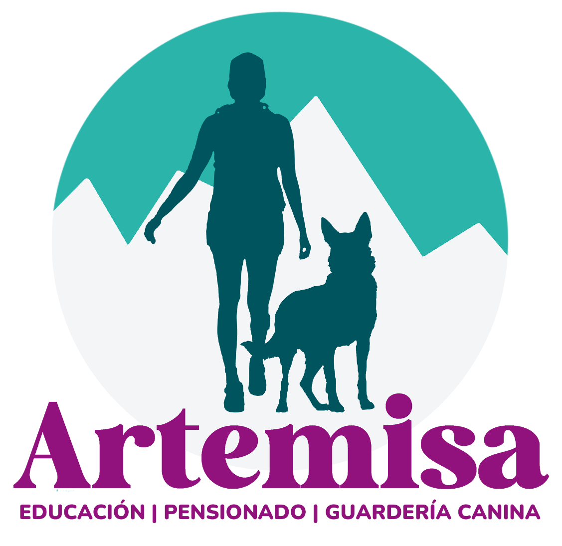 Artemisa — Educación, pensionado y guardería canina